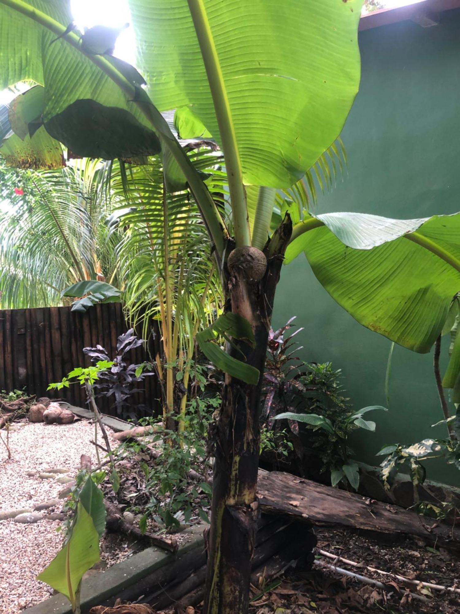 El Marabu Chill'N Surf Bed & Breakfast Aposentillo ภายนอก รูปภาพ