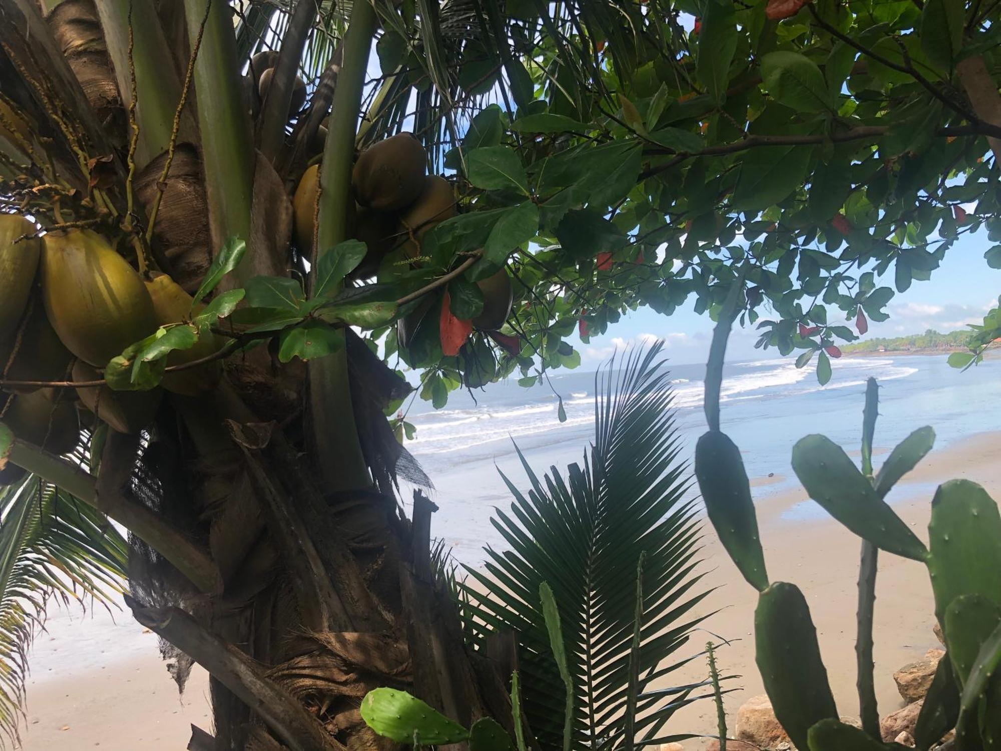 El Marabu Chill'N Surf Bed & Breakfast Aposentillo ภายนอก รูปภาพ